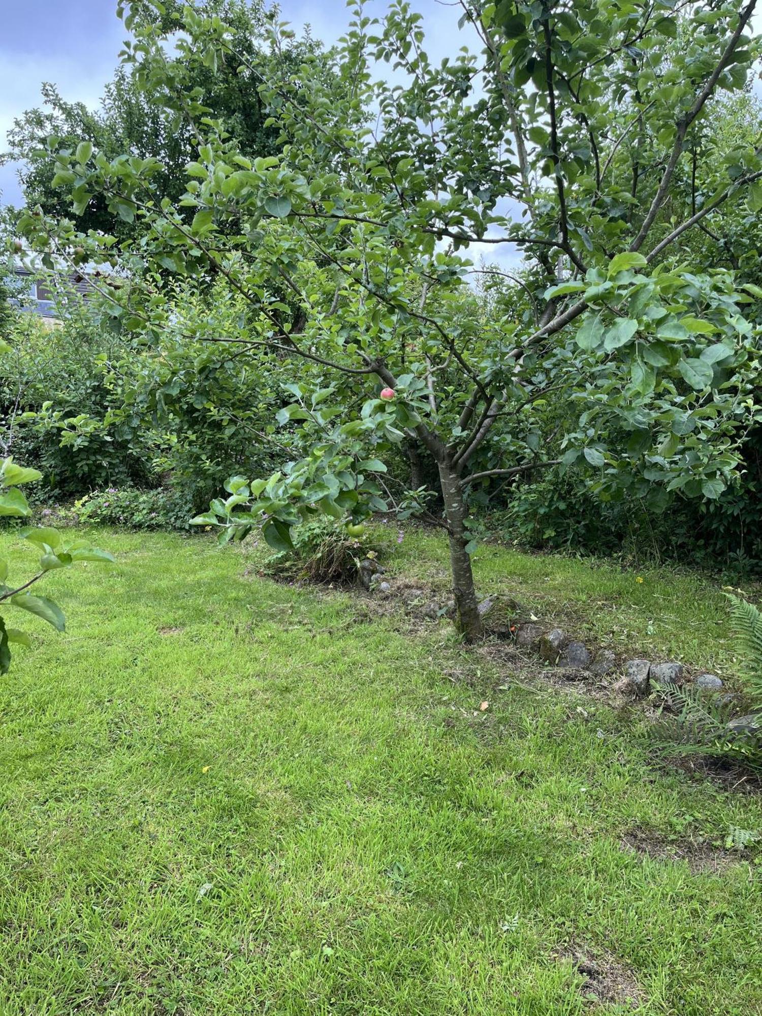 Apple Cottage Newton Stewart Kültér fotó